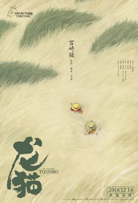 维戈大学硕士成绩单